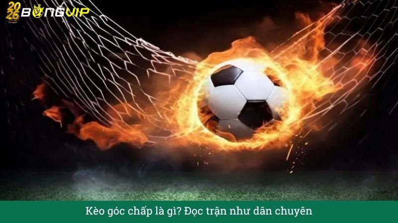 Kèo góc chấp là gì? Đọc trận như dân chuyên – Cẩm Nang Soi Kèo Chuẩn Xác 2026 BONGVIP