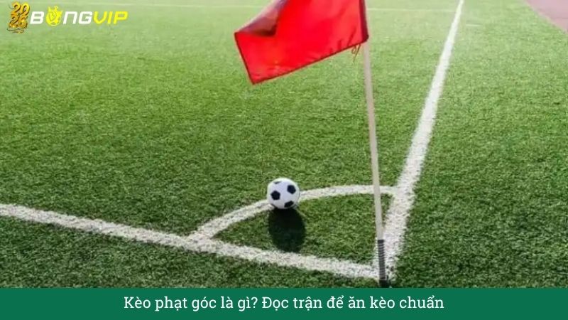Kèo phạt góc là gì? Đọc trận để ăn kèo chuẩn – Cẩm Nang Soi Kèo Chuẩn Xác 2026 BONGVIP