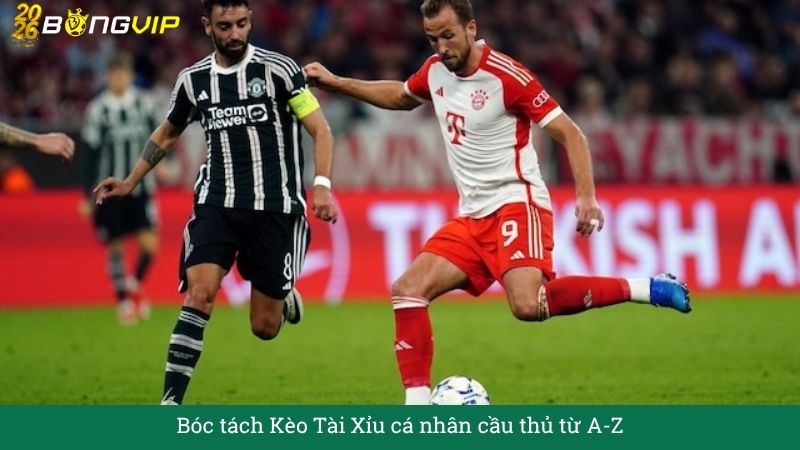 Bóc tách Kèo Tài Xỉu cá nhân cầu thủ từ A – Cẩm Nang Soi Kèo Chuẩn Xác 2026 BONGVIP
