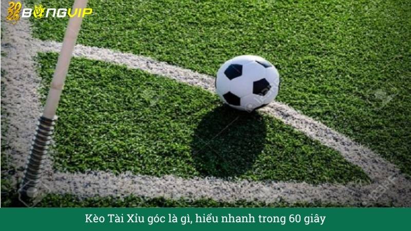 Kèo Tài Xỉu góc – Cẩm Nang Soi Kèo Chuẩn Xác 2026 BONGVIP