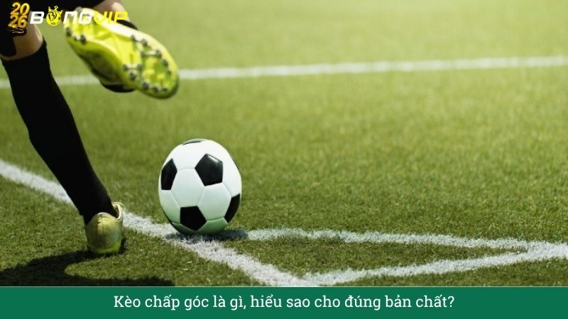 Giải Mã Kèo chấp góc – Cẩm Nang Soi Kèo Chuẩn Xác 2026 BONGVIP