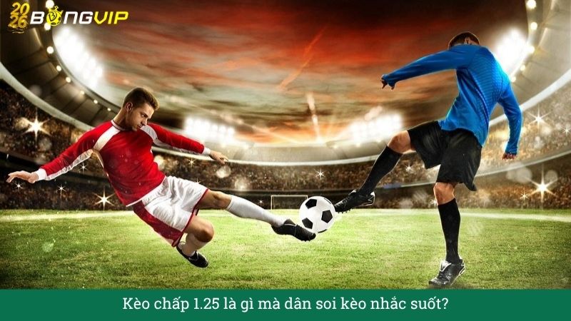 Giải mã Kèo chấp 1.25 – Cẩm Nang Soi Kèo Chuẩn Xác 2026 BONGVIP