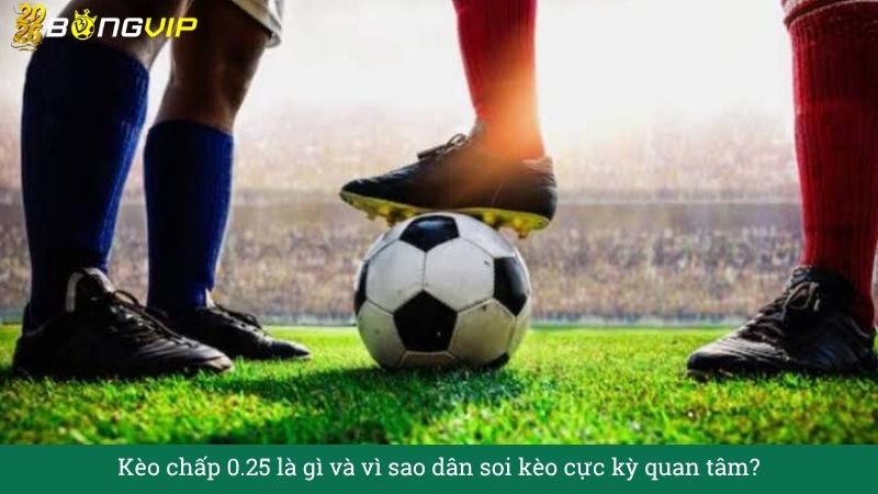 Kèo chấp 0.25 – Cẩm Nang Soi Kèo Chuẩn Xác 2026 BONGVIP