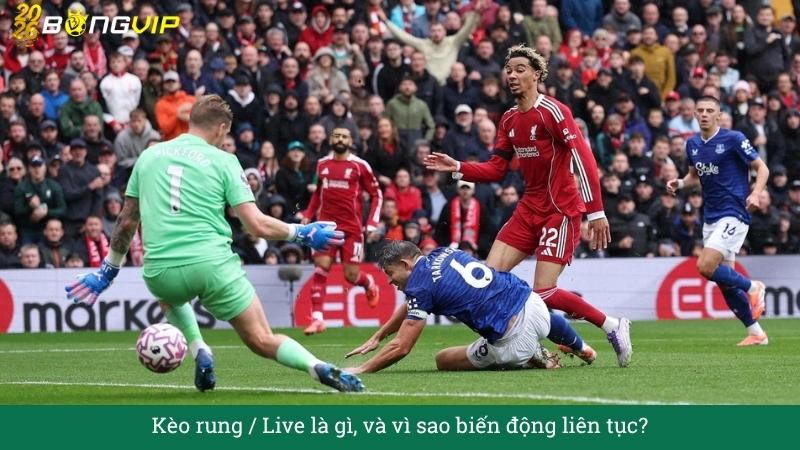 Giải mã Kèo rung / Live – Cẩm Nang Soi Kèo Chuẩn Xác 2026 BONGVIP